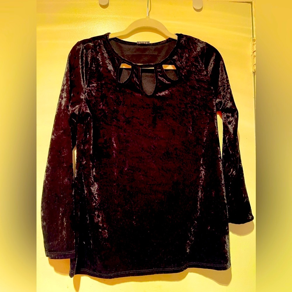 VINTAGE VELVET TOP